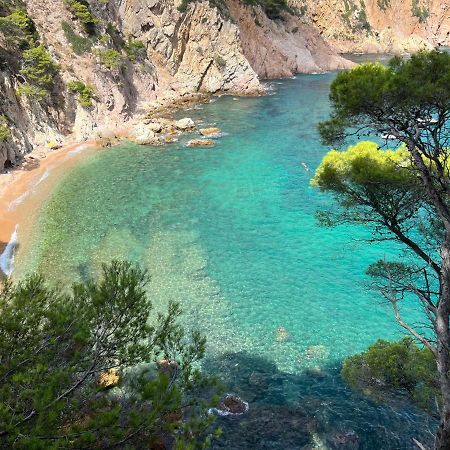 Zen Apartment Sea Views トッサ・デ・マール エクステリア 写真