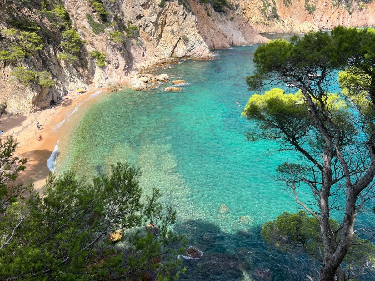 Zen Apartment Sea Views トッサ・デ・マール エクステリア 写真